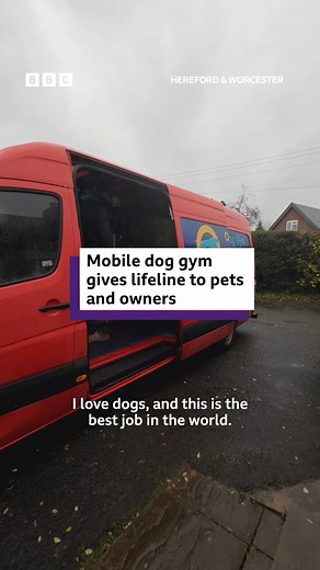 Meet the man who is helping people unable to walk their pets 🐶 Oliver Targett’s mobile gym has special treadmills allowing dogs a workout without having to go anywhere. | BBC Hereford & Worcester