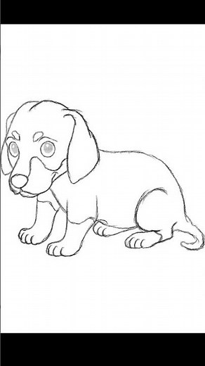 How to draw a puppy Beagle #drawing #art #sketch #puppy #beagle #animals #howto #diy