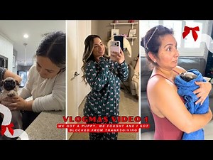We got a puppy infested fleas :( VLOGMAS VIDEO 1