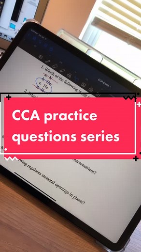 CCA Exam Study Session: Practice Questions and Tips
