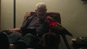 3.3K views · 166 reactions | Just a little playing around last night while dad made me watch the ACM Awards. | Bandit the Scarlet Macaw | Facebook