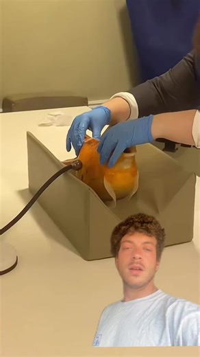 Découvrez l'opération d'un poisson rouge