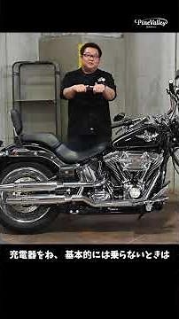 [A must-read for Harley owners] Battery maintenance explained by a pro! Is it OK to leave it plug...