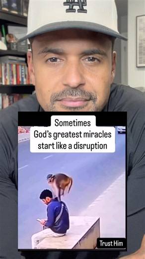 Is This a Disruption or God’s Divine Intervention? 🐒