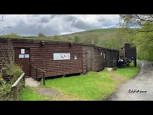 RED KITES AT GIGRIN FEEDING STATION IN WALES FILMED IN MAY 2021 4K