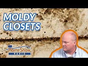 Closet Mold Solution