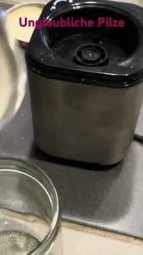 Pure mushroom power: How to make your own gourmet spice! 🍄Making mushroom powder January 2026