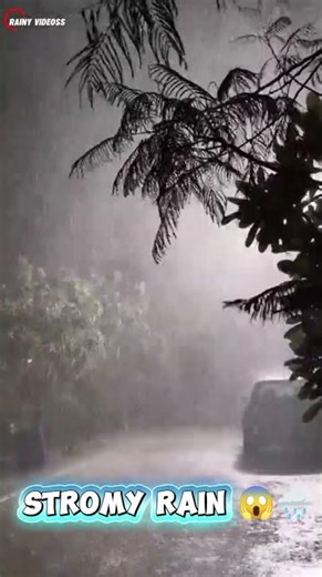 Stormy Rain Magic ⛈️ #shortvideo #heavyrain #thunderstorm