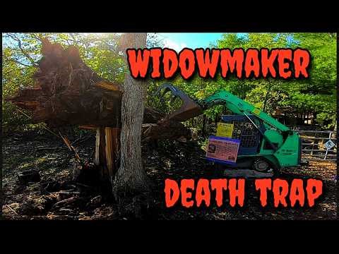 Widowmaker Wanted Me Dead! #treework