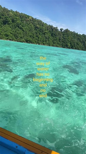 Exploring the Timeless Journey of Water in Avatar