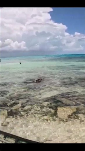 PUNTA CANCUN #MEXICO