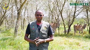 Kamanda kikosi Ruvu JKT Kanali Peter Mnyani anaeleza yaliyojiri katika Ziara ya Ugeni wa Mkuu wa Jeshi la Kujenga Taifa nchini Msumbiji Meja Jenerali Ezequiel Muianga alipotembelea kikosi hicho Kilichopo Mlandizi Mkoani Pwani. Tukio zima tumekuwekea Youtube SUMAJKT TV. https://youtu.be/1h2aXy7XNko?si=zc2D86Y-g3xymyE1 | Sumajkt Tanzania