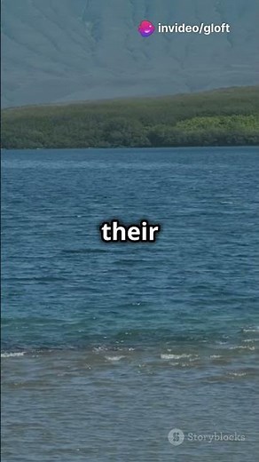 "The Great Migration: Why Do Animals Move? #Migration #Animals #Nature"