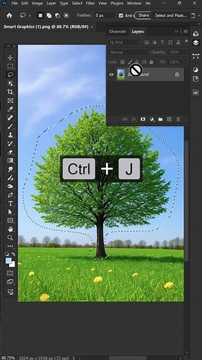 Remove the Background using Adobe Photoshop