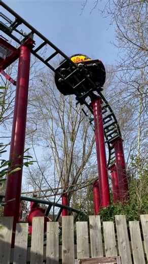 Chessington World of Adventures | February Half Term 2026