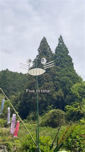 The Real Totoro Exists in Japan