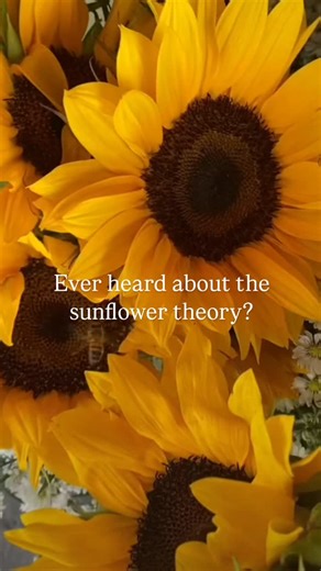 Roses & Aramis on Instagram: "Sunflower girlies, this one’s for you🌻✨ Roses are cute… but sunflowers are a whole personality.... Spoil her with sunshine from Roses & Aramis 📍3 outlet |🚚 Delivery available | 📩 DM to order . . . . . . . . . . #sunflower #bouquet #rosesnaramis #sunflowerbouquet #sunflowerlover"