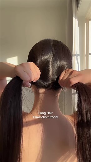 Cute Mini Hair Clips for Long Hair | Hairstyle Clip Ideas