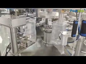 Rotary Packaging Machine for Pre Made Bags