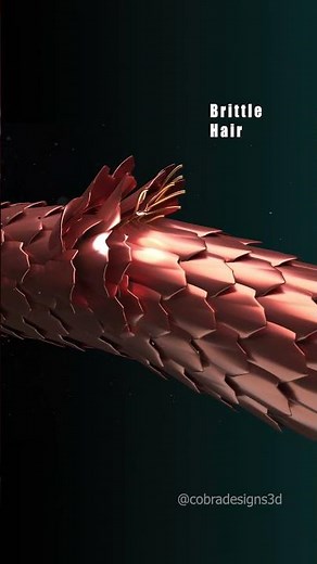 Hair Strand Breakdown | 3D Animation of Microfibril & Macrofibril Structure