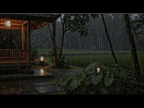 🌧️ Soft Moderate Night Rain for Deep Sleep (No Thunder)