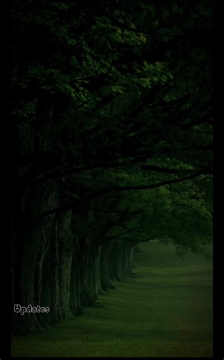 Tommy Lee Sparta Lyrics Collaboration