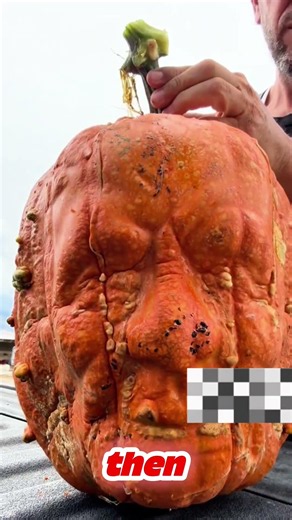 How Do These Pumpkins Have Faces?!
