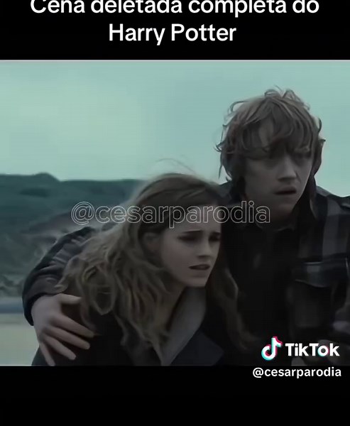 Momento Marcante de Harry Potter: Dobby e Ação Épica