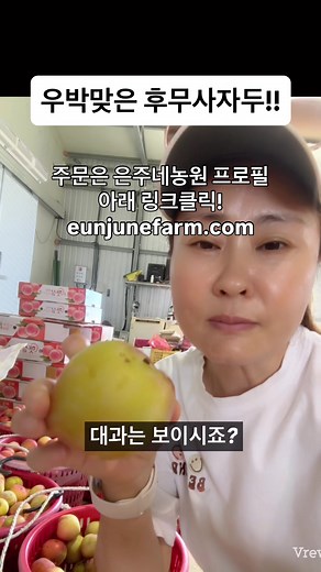 후무사자두 1.5kg 9.900(무료배송) 기상이변으러 갑자기 내린 우박으로 상처입은 우리 맛있는 달콤새콤 후무자자두 9,900원 저렴한 가격으로 공구합니다! 맛은 말할 필요없이 진짜 맛있습니다-^^ 후무사자두는 큼지막하고 달콤한 자두로 많은 사랑을 받고 있는 자두죠! 오늘수확분 오후 3시까지 주문하시면 당일발송 돼서 내일 받아보실 수 있어요^^ 우박맞은 자국과 나뭇가지 스침이 있지만 드시는대는 아무 문제없습니다! 조기품절될수 있으니 빨리 서두르세요^^ 주문은 은주네농원 프로필 아래 링크클릭! eunjunefarm.com #우박맞은후무사자두 #왕자두 #복사자 #은주네농원 #자두수확 #여름과일추천 #아삭달콤자두 #자두택배 #직접재배 #순차발송중 #프리미엄과일 #자두먹고싶다 #지금이제철 #후무사드셔보셨나요 #의성농장 #과일맛집 #자두러버