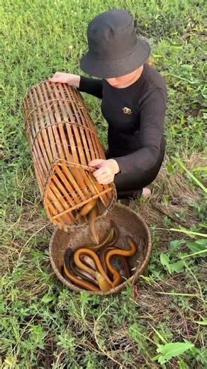 Survival fish trapping skills with seafood to catch a lot of big fish