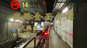 【8A大编组】上海地铁线路全面介绍——14号线