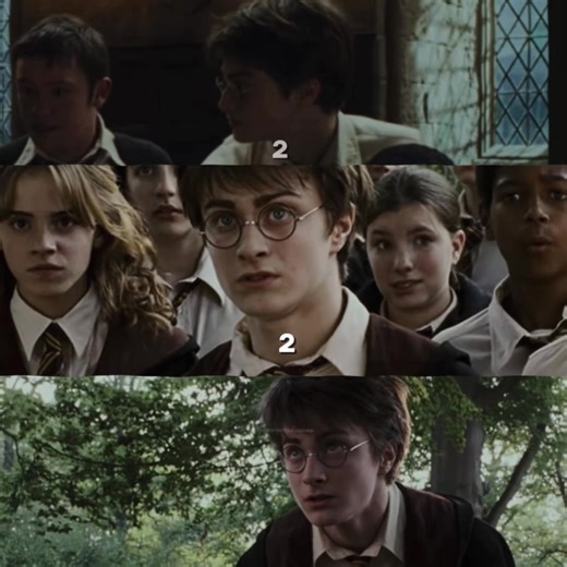 Harry Potter: A Bedroom Fantasy Escape