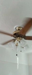 National Ceiling Fan Day 2025 Preview: Coming Soon #Shorts