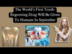 Introducing the World’s First Tooth-Regrowing Drug - A Milestone in Dental Research!” 🦷#research