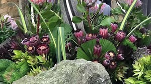 12 reactions | Team Florists’ Review Visited the Jardín Botánico de Medellín today during the Feria De Las Flores Medellin annual flower fair. Enjoy!!! #floristsreview #medellin #colombia #feriadelasflores #voiceoftheindustry #worldflowers | Florists' Review | Facebook