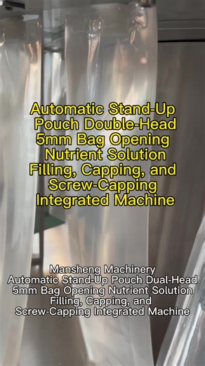 Beverage Juice Shampoo Filling Capping Machine Solutions