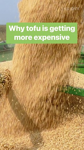 37K views · 69 reactions | How a soybean saga is making your tofu more expensive, with China's influence taking center stage. #tofu #grains #china | Business Insider | Facebook