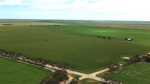 SA cropping farm fetches record-breaking price