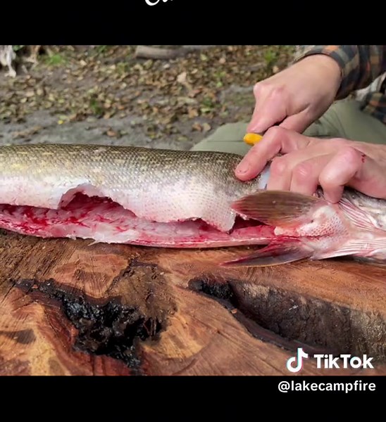 Boneless Pike Filleting for Outdoor Cooking | ASMR