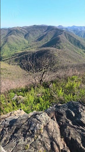 View From Cold Mountain, Shining Rock Wilderness, Pisgah National Forest, May 3, 2026