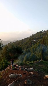 148K views · 8.6K reactions | #Gojri #language ڈیرہ ڈھوک کے سنگڑ پر لے گیا | Ikram Gujjar | Facebook