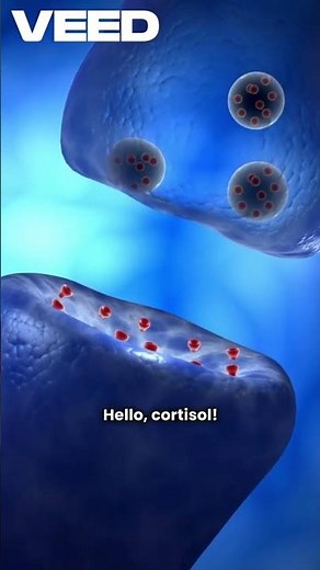 The Happiness Code: Cracking the Brain's formula!! 🧠