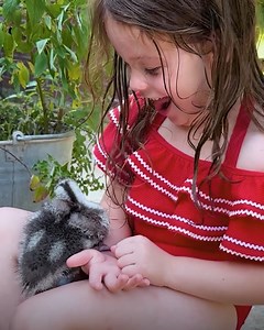 A wild duck found a friend for life — every day he visits his favorite girl for cuddles and fun #duck #animalfriendship #bondwithanimals #wildanimals #duckandhuman #animallovers #cuddlebuddies | Cuddle Buddies