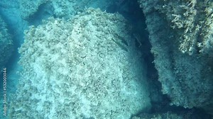 Sardinia, under water, snorkeling, diving, experience, under water
