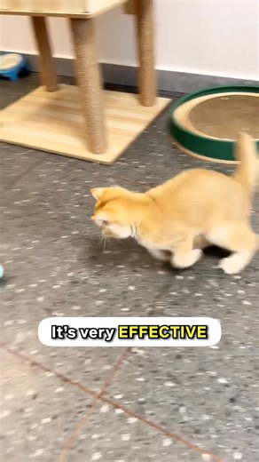 Is your dog bored or full of energy? ⚡️ This smart motion ball moves on its own and keeps pets entertained for HOURS — even when you're busy. ✔️ Self-moving & interactive ✔️ Reduces anxiety & destructive behavior ✔️ Perfect for puppies & adult dogs ✔️ USB rechargeable & pet-safe materials Give your pet the fun they deserve ❤️ | PawVibe Shop | Facebook