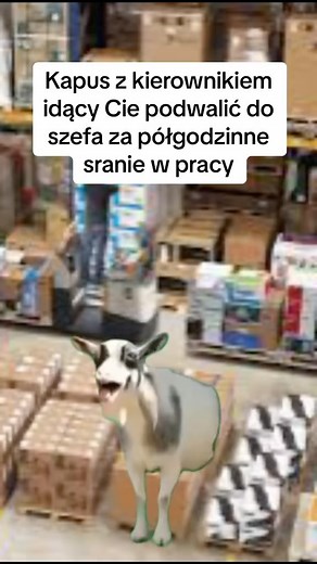 Praca Szuka Człowieka 💼 | 👀✨ Obserwuj nas, by być na bieżąco z nowymi ofertami pracy i ciekawymi możliwościami zawodowymi! 🌟👔 . . #PracaPL #OfertyPracy... | Instagram