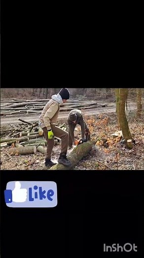 práca v lese, rezanie dreva, ťažba dreva) #fypシ #v3s #shorts
