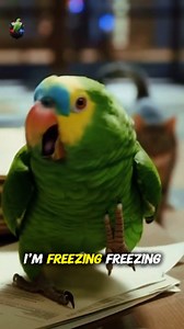 850 reactions · 29 shares | Parrot Vs Cat : One Look and It was Over #parrot #funny #cops #talkingparrot #cat #catvideos #talkinganimals #comedy #smartparrot #parrotvscops | Fish Cutting Studio | Facebook