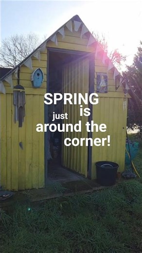 Preparing for spring on the vegetable plot #vegplot #polytunnel #growyourown #springiscoming