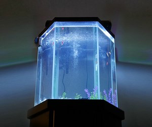 LED Aquarium Light Conversion